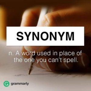 Synonym - word used in place of one you can't spell meme